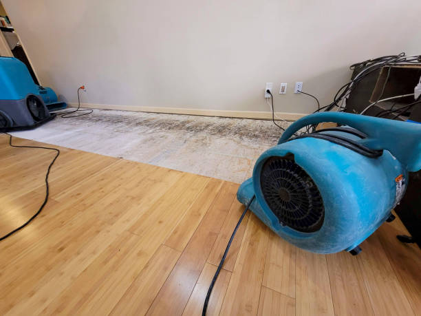 Professional Water Removal technician working in Skowhegan, ME